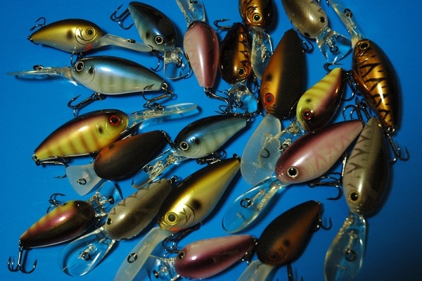 hideup 吉田秀雄 ブログ写真 2013/01/12