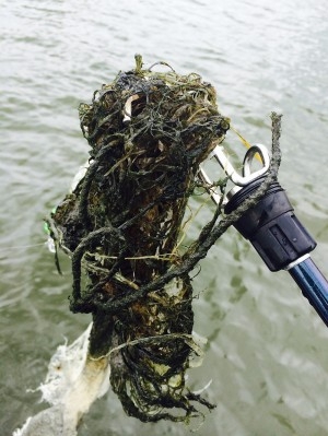 hideup 吉田秀雄 ブログ写真 2014/11/02