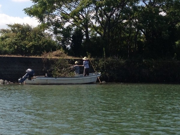 hideup 吉田秀雄 ブログ写真 2013/10/02