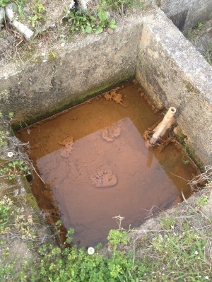 hideup 吉田秀雄 ブログ写真 2013/05/11