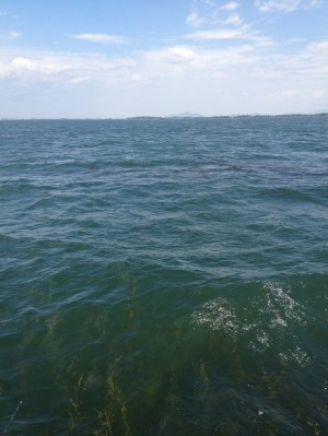 hideup 吉田秀雄 ブログ写真 2013/07/08