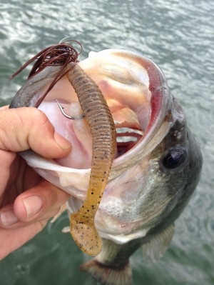 hideup 吉田秀雄 ブログ写真 2013/05/03