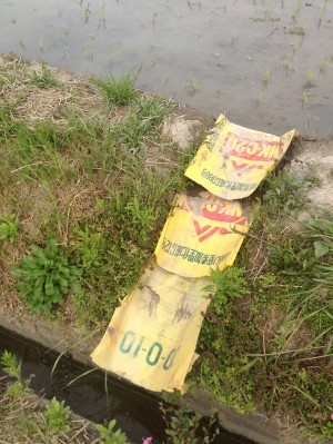 hideup 吉田秀雄 ブログ写真 2013/05/11