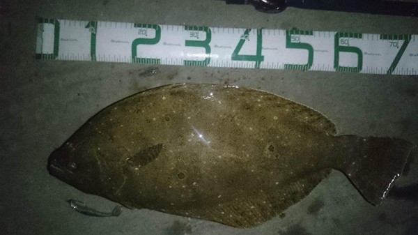 hideup 吉田秀雄 ブログ写真 2017/03/21