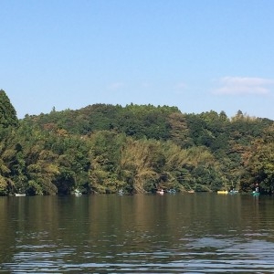 hideup 吉田秀雄 ブログ写真 2014/11/02