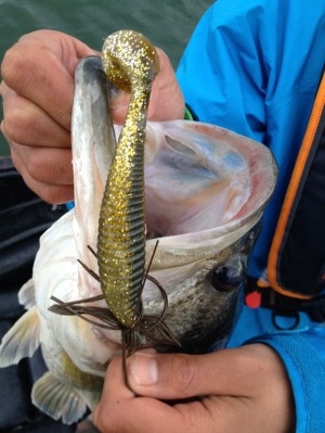 hideup 吉田秀雄 ブログ写真 2013/05/05