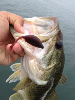 hideup 吉田秀雄 ブログ写真 2013/05/11