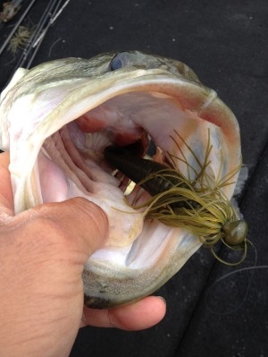 hideup 吉田秀雄 ブログ写真 2013/05/05