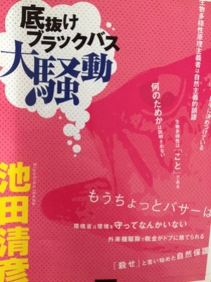 hideup 吉田秀雄 ブログ写真 2012/12/20