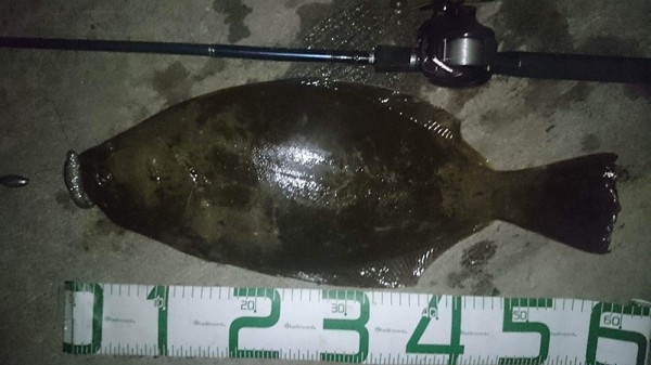 hideup 吉田秀雄 ブログ写真 2017/03/21