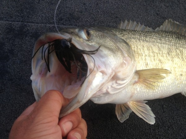 hideup 吉田秀雄 ブログ写真 2013/05/06