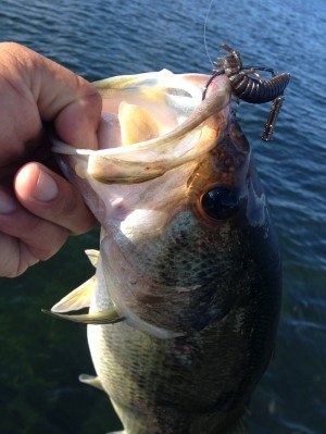 hideup 吉田秀雄 ブログ写真 2013/08/02