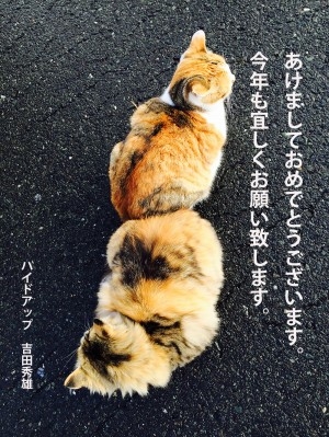 hideup 吉田秀雄 ブログ写真 2015/01/01