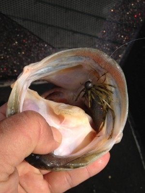 hideup 吉田秀雄 ブログ写真 2013/05/05