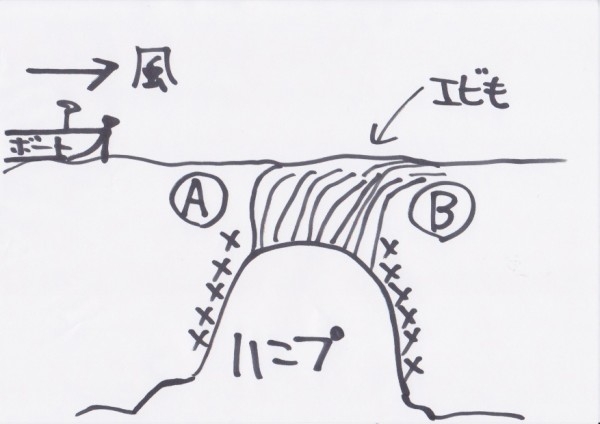 hideup 吉田秀雄 ブログ写真 2013/07/08