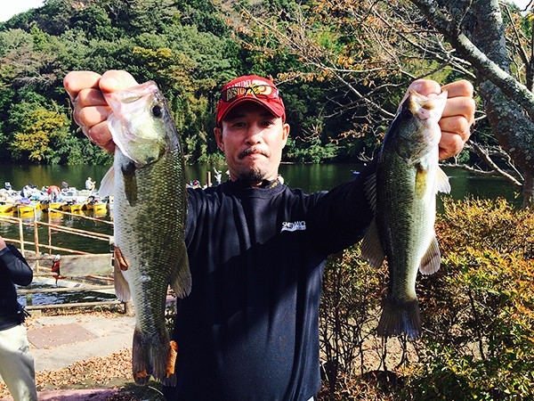 hideup 吉田秀雄 ブログ写真 2014/11/02