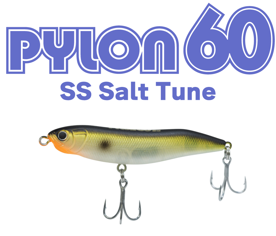 パイロン60SS ソルトチューン