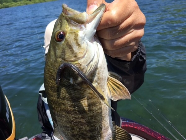 hideup ボンバー ブログ写真 2017/06/09