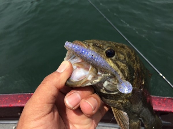 hideup ボンバー ブログ写真 2017/07/07