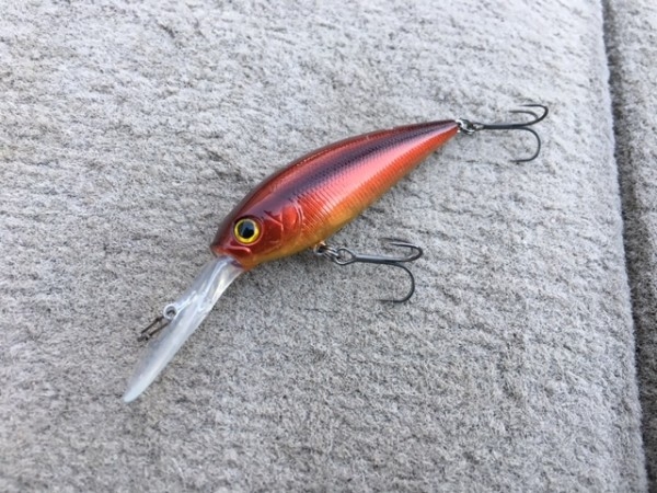 hideup ボンバー ブログ写真 2017/05/02