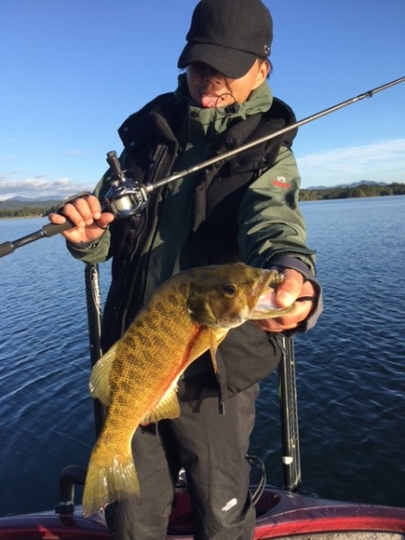 hideup ボンバー ブログ写真 2017/10/06