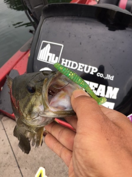 hideup ボンバー ブログ写真 2017/05/27