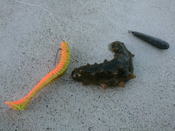 hideup ボンバー ブログ写真 2017/12/02