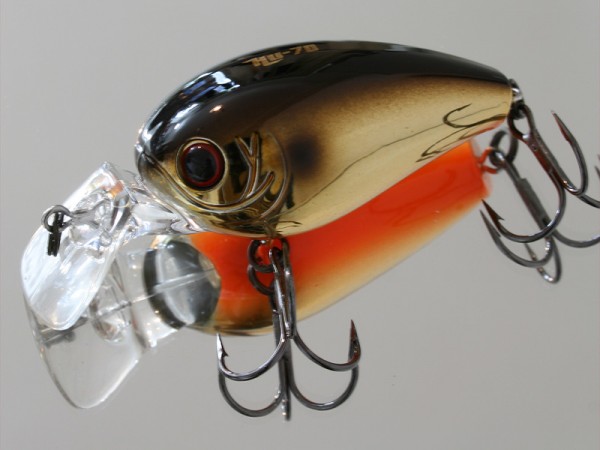 hideup ボンバー ブログ写真 2017/02/20