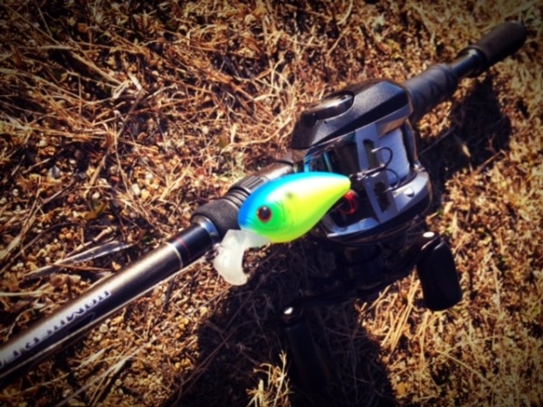 hideup ボンバー ブログ写真 2017/03/15