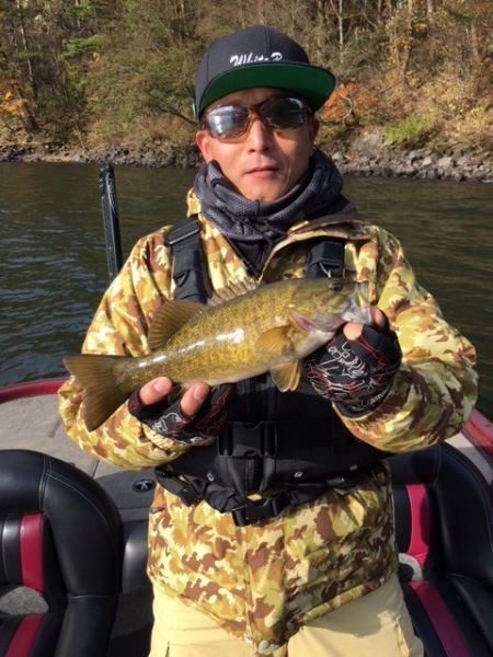 hideup ボンバー ブログ写真 2017/11/08