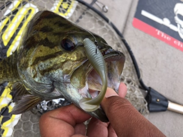 hideup ボンバー ブログ写真 2017/05/27