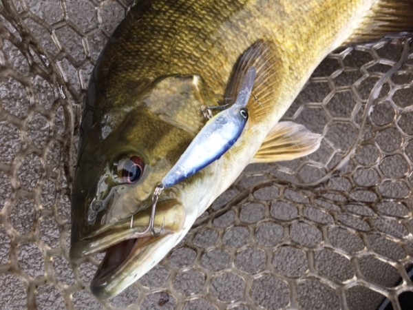 hideup ボンバー ブログ写真 2017/05/13