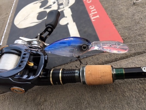 hideup ボンバー ブログ写真 2017/11/08