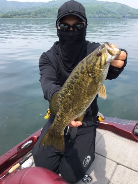 hideup ボンバー ブログ写真 2017/05/31