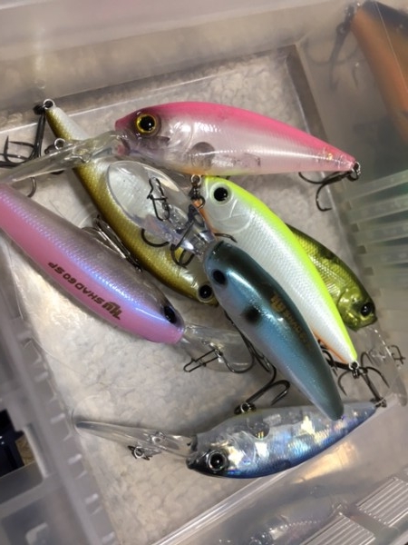 hideup ボンバー ブログ写真 2017/05/12