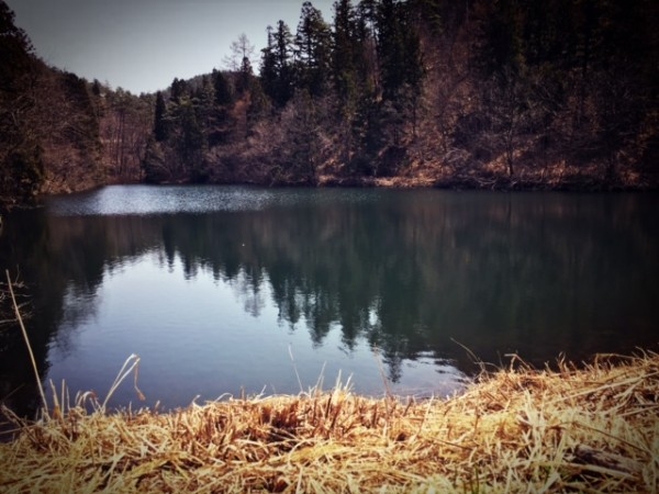 hideup ボンバー ブログ写真 2017/04/15