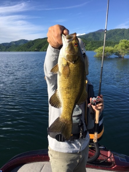 hideup ボンバー ブログ写真 2017/06/09