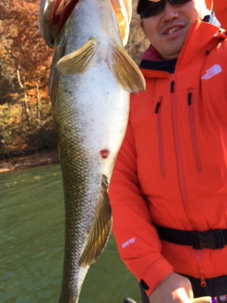 hideup ボンバー ブログ写真 2017/11/08