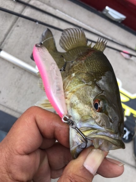 hideup ボンバー ブログ写真 2017/05/27