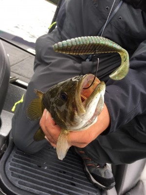 hideup ボンバー ブログ写真 2017/09/21