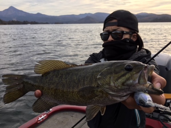 hideup ボンバー ブログ写真 2017/12/07