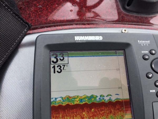 hideup ボンバー ブログ写真 2017/06/13