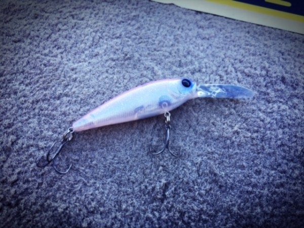 hideup ボンバー ブログ写真 2017/05/16