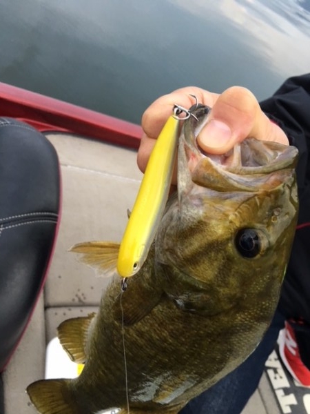 hideup ボンバー ブログ写真 2017/12/01