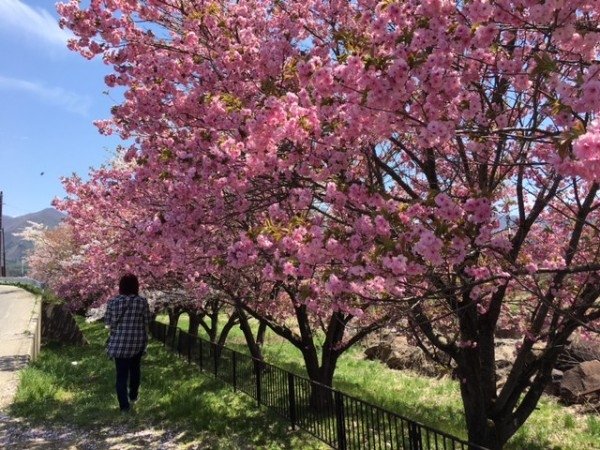 hideup ボンバー ブログ写真 2017/05/05