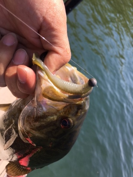 hideup ボンバー ブログ写真 2017/05/20