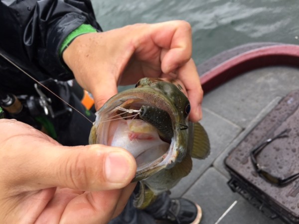 hideup ボンバー ブログ写真 2017/07/07