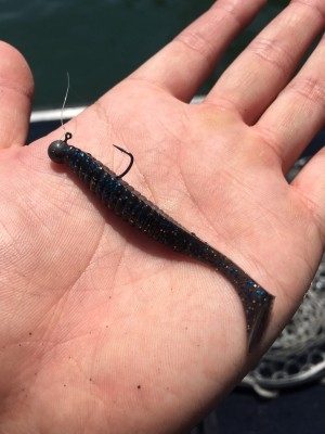 hideup ボンバー ブログ写真 2017/05/07