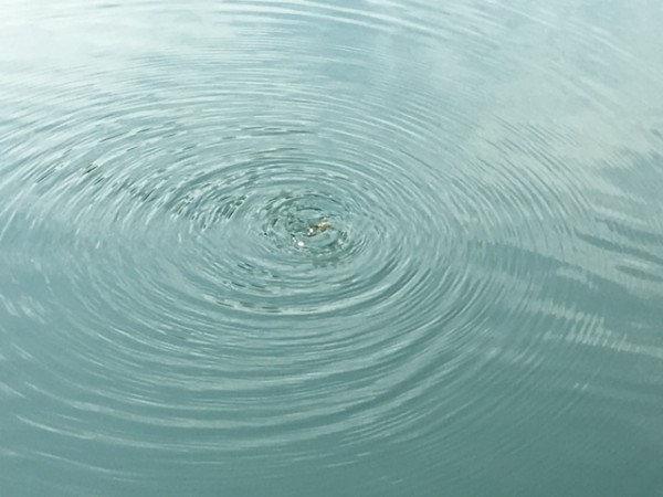 hideup ボンバー ブログ写真 2017/06/11