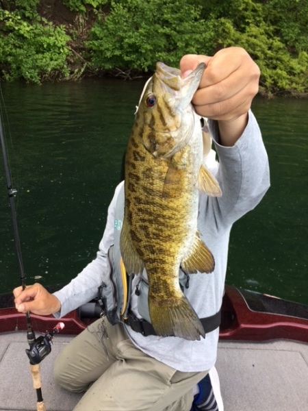 hideup ボンバー ブログ写真 2017/06/09